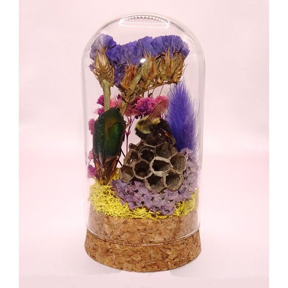 June Bug Carpenter Bee & Wasp Nest Oddity Jar taxidermy curiosity goth witchy - Picture 1 of 12